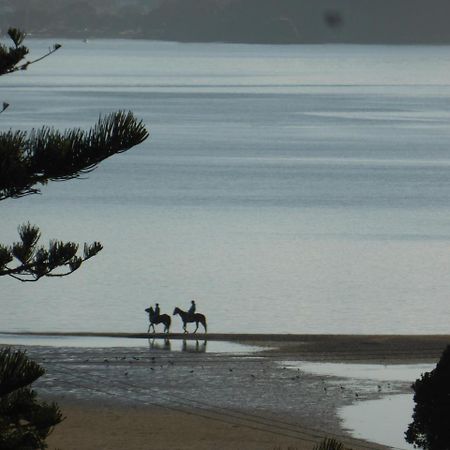 Changing Tides Bnb Paihia Exterior photo