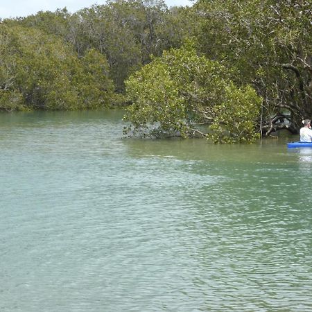 Changing Tides Bnb Paihia Exterior photo