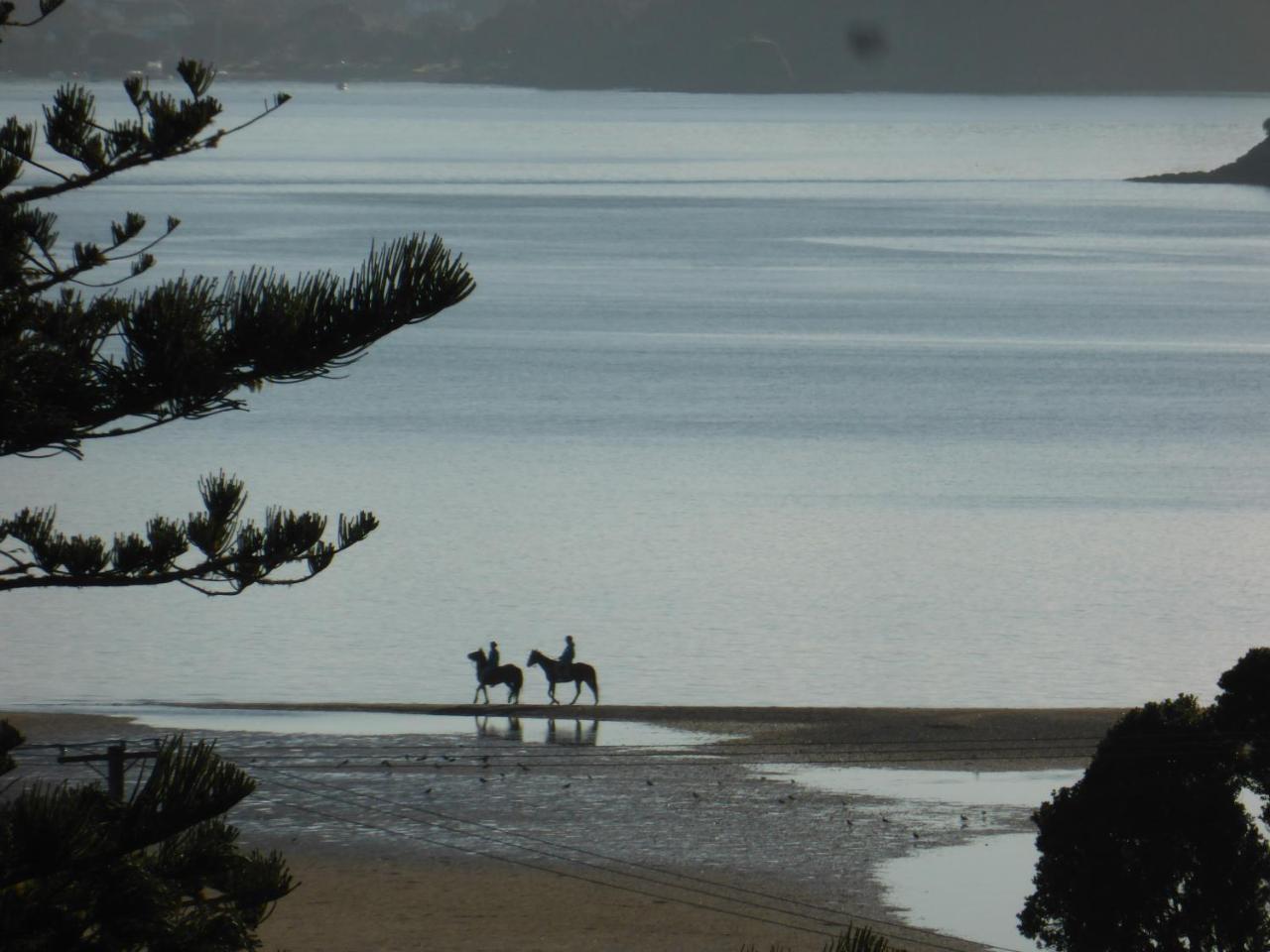 Changing Tides Bnb Paihia Exterior photo