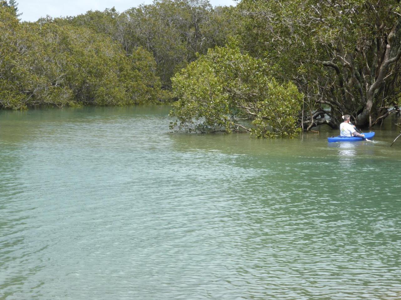 Changing Tides Bnb Paihia Exterior photo